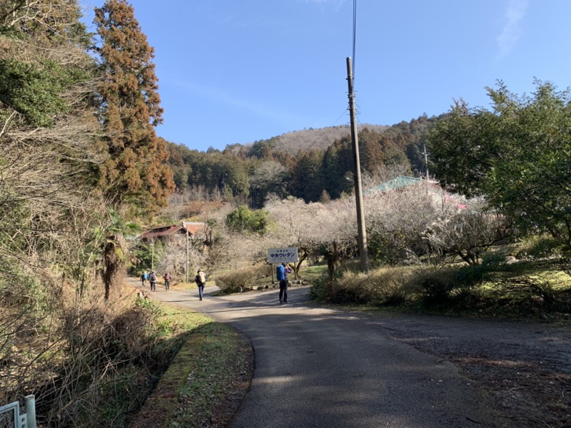 日和田山、物見山